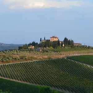  Guest house Damario Panorama